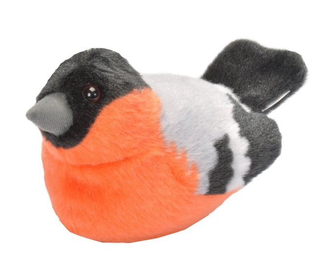 Pasare cu sunet Mugurar - BULLFINCH Pasare cu sunet Mugurar - BULLFINCH