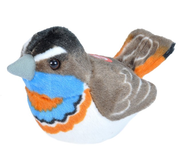 Pasare cu sunet Privighetoare Gusa Vanata - BLUETHROAT Pasare cu sunet Privighetoare Gusa Vanata - BLUETHROAT