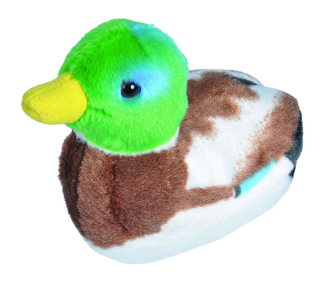 Pasare cu sunet Rata Salbatica - MALLARD DUCK