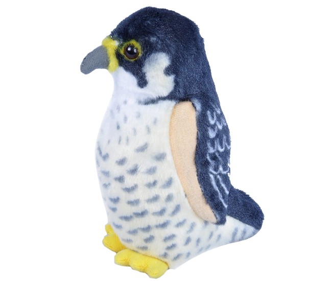 Pasare cu sunet Soim Calator - PEREGRINE FALCON