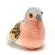 Pasare cu sunet Turturea - TURTLE DOVE Pasare cu sunet Turturea - TURTLE DOVE
