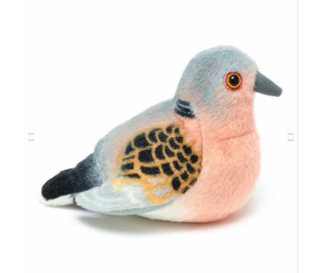 Pasare cu sunet Turturea - TURTLE DOVE Pasare cu sunet Turturea - TURTLE DOVE