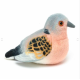 Pasare cu sunet Turturea - TURTLE DOVE Pasare cu sunet Turturea - TURTLE DOVE