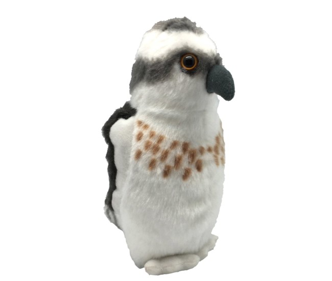 Pasare cu sunet Vultur Pescar - OSPREY Pasare cu sunet Vultur Pescar - OSPREY