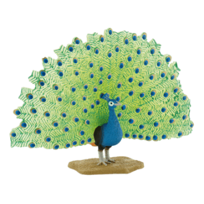 Paun - Animal figurina pentru copii