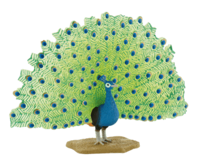 Paun - Animal figurina pentru copii Paun - Animal figurina pentru copii