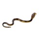 Sarpe Cobra - Figurina animal Sarpe Cobra - Figurina animal