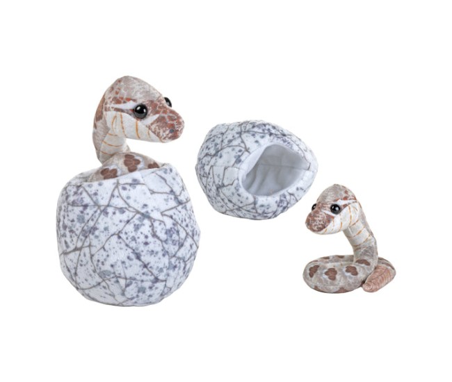 Sarpe Iesit Din Ou Hatchling