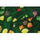 Joc de potrivire - Insecte buclucase Joc de potrivire - Insecte buclucase
