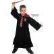 Accesorii Harry Potter - Bagheta, cravata & ochelari Accesorii Harry Potter - Bagheta, cravata & ochelari