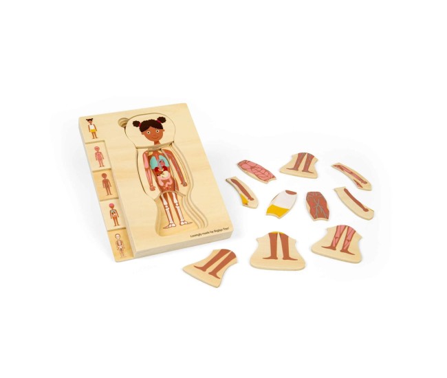 Puzzle anatomic din lemn - Fetita Puzzle anatomic din lemn - Fetita