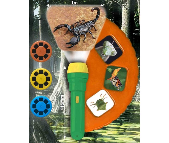Proiector tip lanterna - Insecte Proiector tip lanterna - Insecte