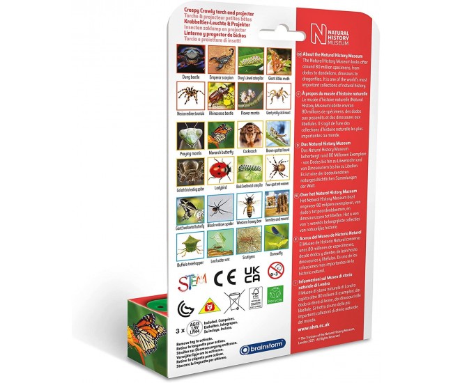 Proiector tip lanterna - Insecte Proiector tip lanterna - Insecte