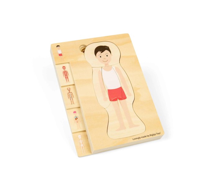 Puzzle anatomic din lemn - Baiat Puzzle anatomic din lemn - Baiat