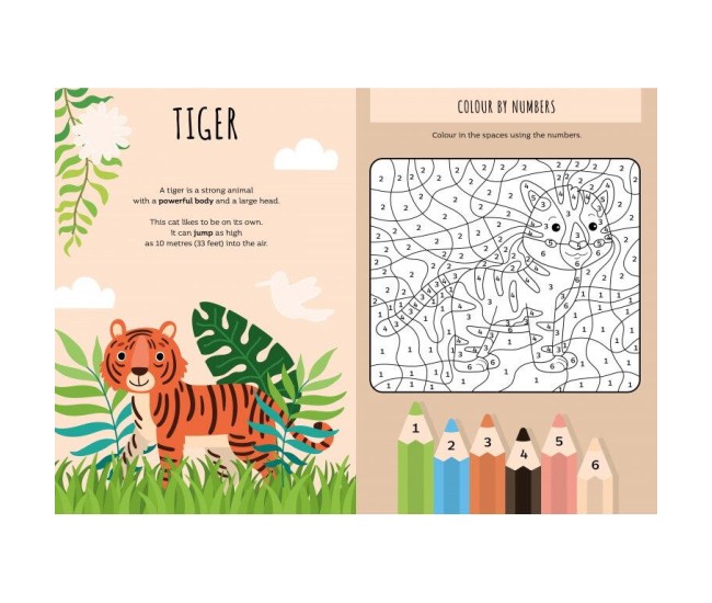 Carte de activitati cu abtibilduri - Jungla Carte de activitati cu abtibilduri - Jungla
