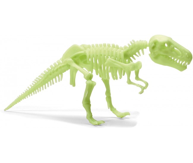 Schelet T-Rex reflectorizant