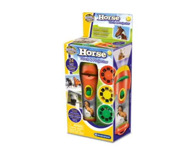 Proiector tip lanterna - Caluti