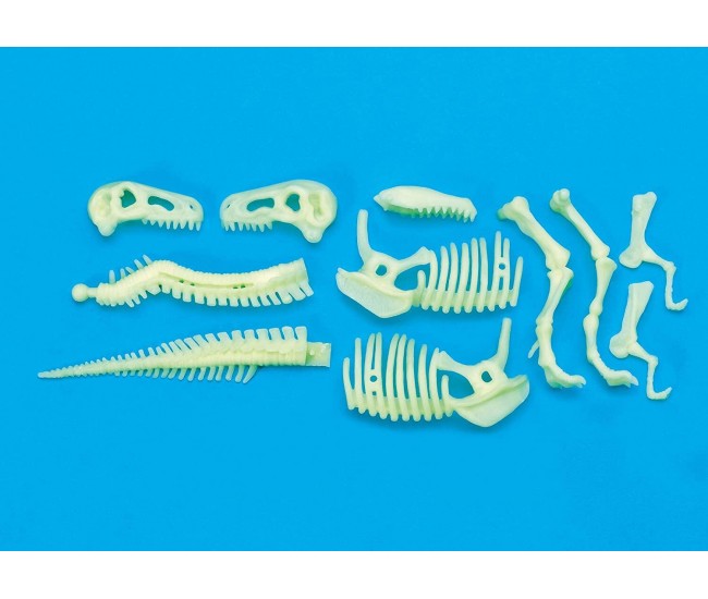 Schelet T-Rex reflectorizant