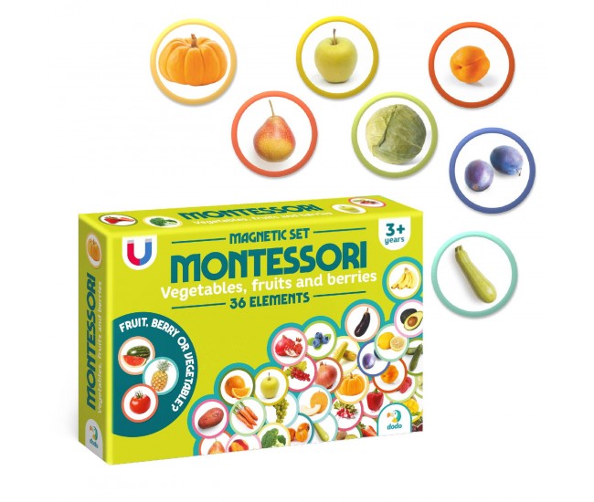 Set magneti Montessori - Fructe si legume Set magneti Montessori - Fructe si legume