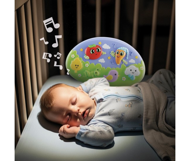 Jucarie muzicala - Vise placute