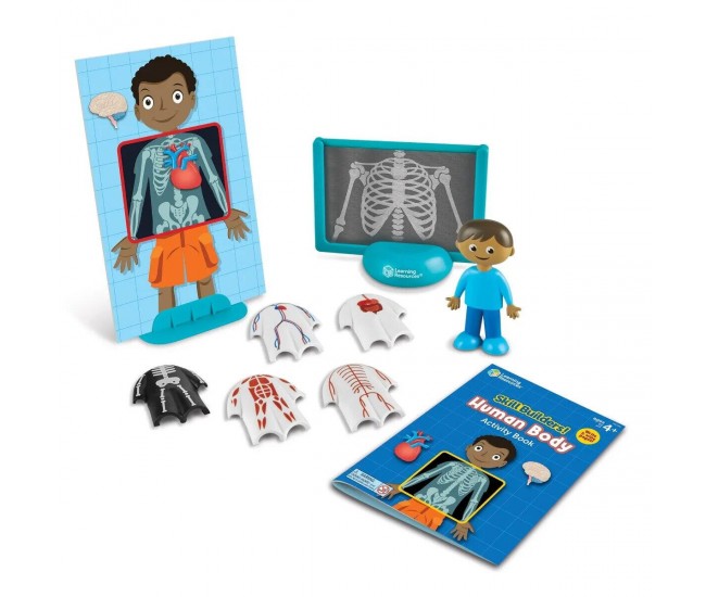 Set activitati educative - Corpul uman Set activitati educative - Corpul uman