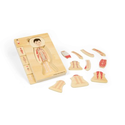Puzzle anatomic din lemn - Baiat Puzzle anatomic din lemn - Baiat