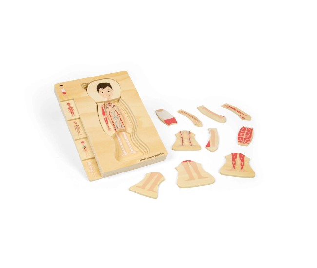 Puzzle anatomic din lemn - Baiat Puzzle anatomic din lemn - Baiat