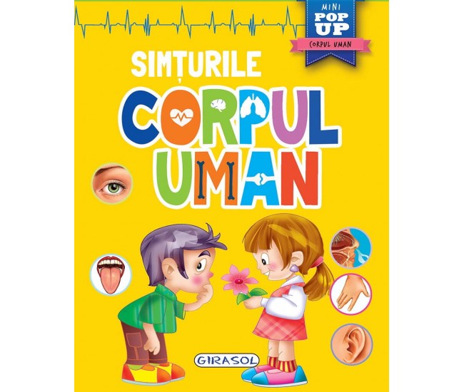 Corpul uman - Simturile Corpul uman - Simturile