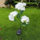 Lampa led incarcare solara 3000k model hortenzie Lampa led incarcare solara 3000k model hortenzie