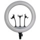 Selfie ring light 55w cu trepied si suport 3 telefoane Selfie ring light 55w cu trepied si suport 3 telefoane