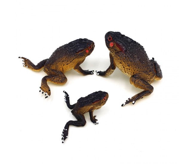 Broscute set 3 figurine