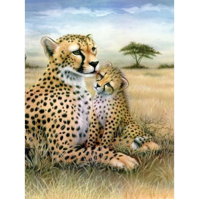 Prima mea pictura pe numere junior mica - Ghepard