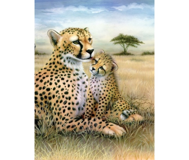 Prima mea pictura pe numere junior mica - Ghepard