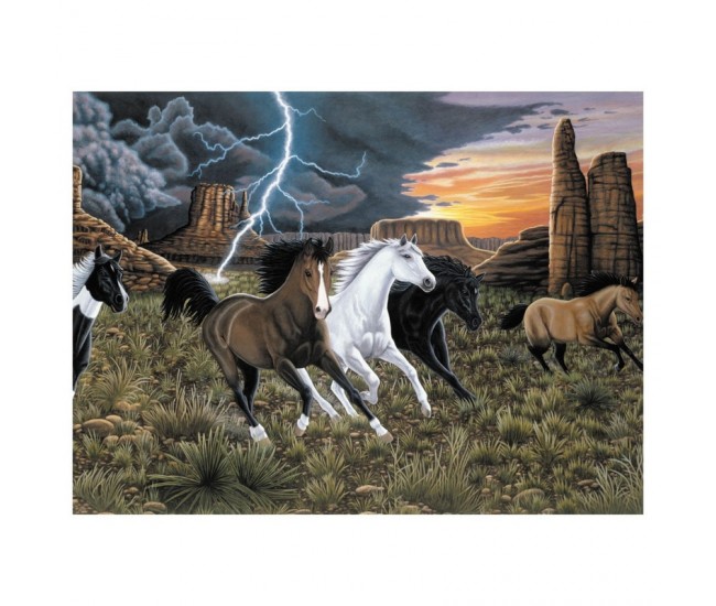 Prima pictura pe numere junior mare - Fuga de fulger Prima pictura pe numere junior mare - Fuga de fulger