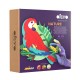 Set pictura 3d cu argila usoara, nature - macaw Set pictura 3d cu argila usoara, nature - macaw