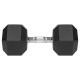 Gantere dumbbell hex fonta cauciucata 22.5kg rebel acti