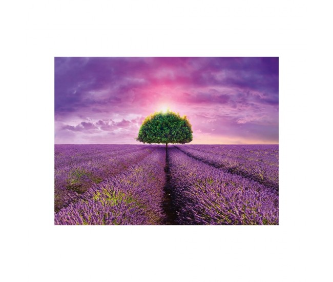 Puzzle Camp cu lavanda, 2000 piese - DINO TOYS Puzzle Camp cu lavanda, 2000 piese - DINO TOYS