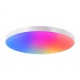 Plafoniera cu LED Gosund LB13, RGB+CW, 30cm, 20W,1600lm, Telecomanda, control aplicatie Plafoniera cu LED Gosund LB13, RGB+CW, 30cm, 20W,1600lm, Telecomanda, control aplicatie