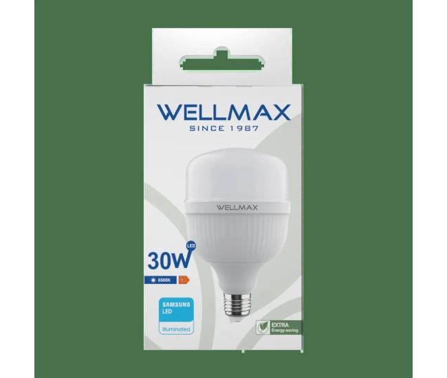 Bec LED cu chip SAMSUNG E27 T100 T-BULB 30W 2700lm 6500K Wellmax VE20703 Bec LED cu chip SAMSUNG E27 T100 T-BULB 30W 2700lm 6500K Wellmax VE20703
