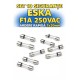 Set 10 sigurante F1A 250VAC ardere rapida 5x20m ESKA 520.617-10 Set 10 sigurante F1A 250VAC ardere rapida 5x20m ESKA 520.617-10
