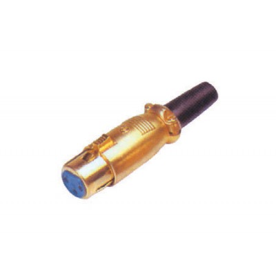 Mufa XLR mama aurita