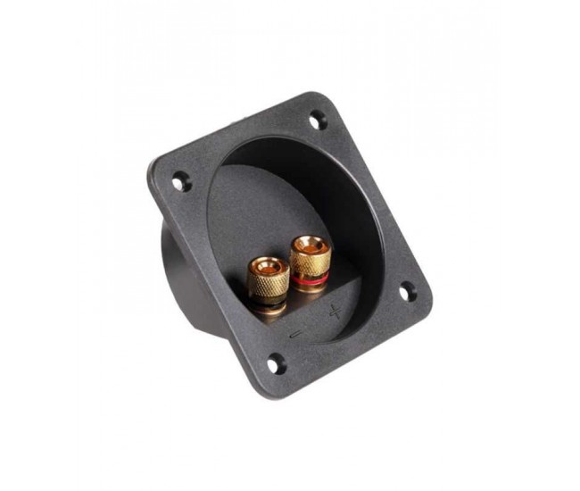 Conector boxa 2 terminale aurite Conector boxa 2 terminale aurite