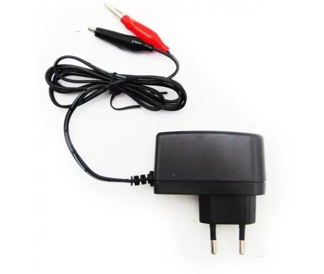 Incarcator cu debransare VRLA AGM 6V 1A TED