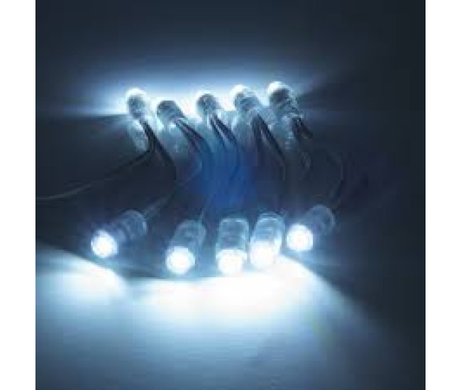 Modul LED SMD5050 12V 0.24W 22lm 6000K alb rece IP68 12x22mm V-TAC