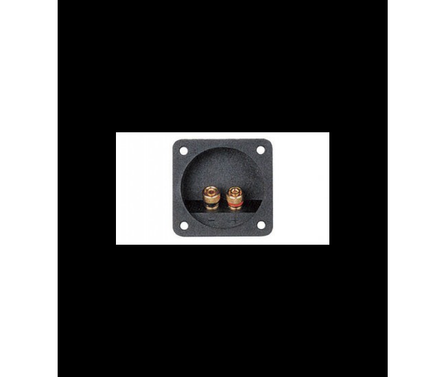 Conector boxa 2 terminale aurite Conector boxa 2 terminale aurite