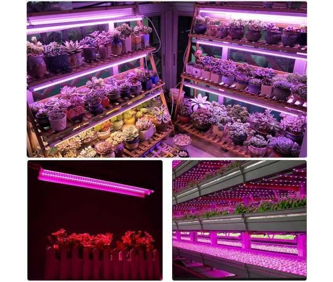 Lampa dubla pentru cresterea plantelor Flippy, 50 cm, T5, tehnologie LED, nu afecteaza plantele, potrivit pentru intregul ciclu de crestere, multicolor Lampa dubla pentru cresterea plantelor Flippy, 50 cm, T5, tehnologie LED, nu afecteaza plantele, potrivit pentru intregul ciclu de crestere, multicolor