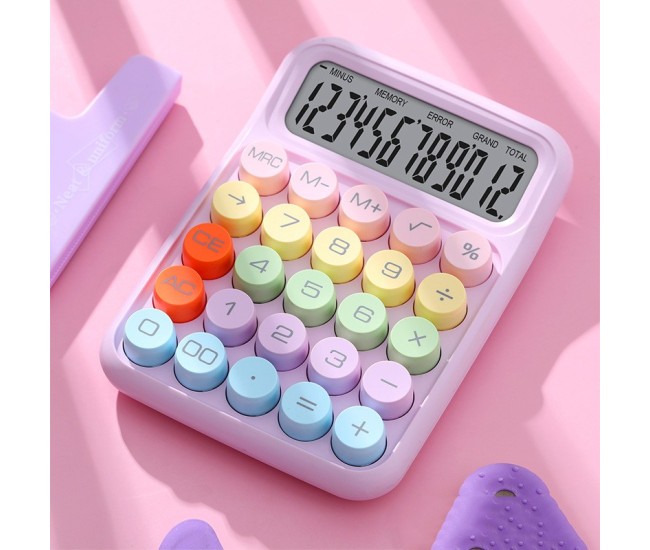 Calculator Electronic pentru Copii, Flippy, Calculator Dragut pentru Scoala Primara, Ecran mare 12 digits si Tastatura Mecania, 16 x 11 x 2 cm, Roz