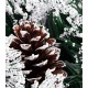Coronita pentru Craciun Flippy, diametru 20 cm, din brad artificial, decorata cu conuri si merisoare, inzapezit, Verde/Alb Coronita pentru Craciun Flippy, diametru 20 cm, din brad artificial, decorata cu conuri si merisoare, inzapezit, Verde/Alb