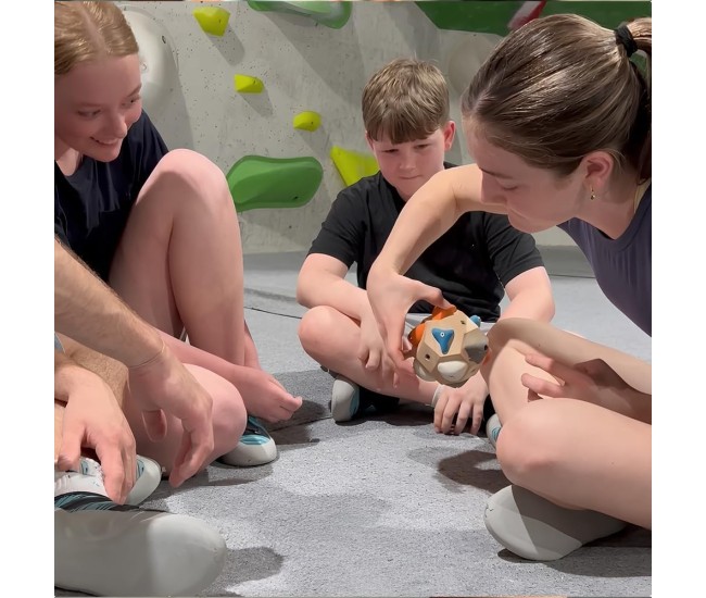 Bloc de Antrenat Forta Degetelor, Flippy, pentru Escaladat, din Lemn, 11 x 11 cm, Multicolor