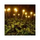 Decoratiune pentru gradina cu incarcare solara, 6 bulbi, alb cald Decoratiune pentru gradina cu incarcare solara, 6 bulbi, alb cald